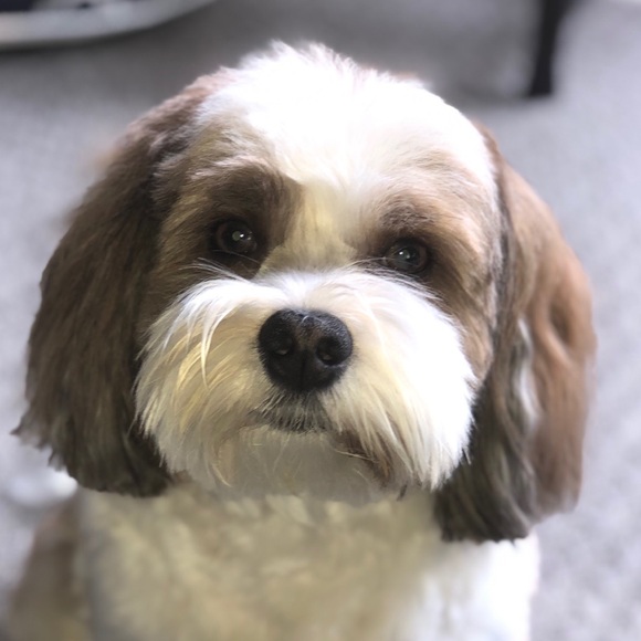 Meet your Posher, Nancy - Picture 1 of 1